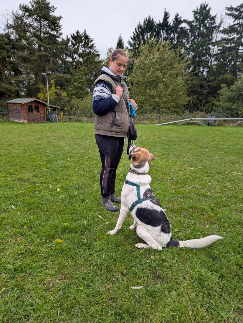 Veronique mit ihrem Hund Duplo im Blickkontakt auf der Wiese